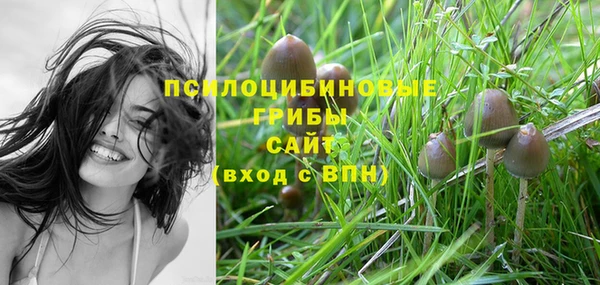 дурь Богородск