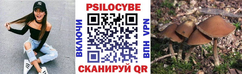 МЕГА маркетплейс  Мелеуз  Псилоцибиновые грибы ЛСД 
